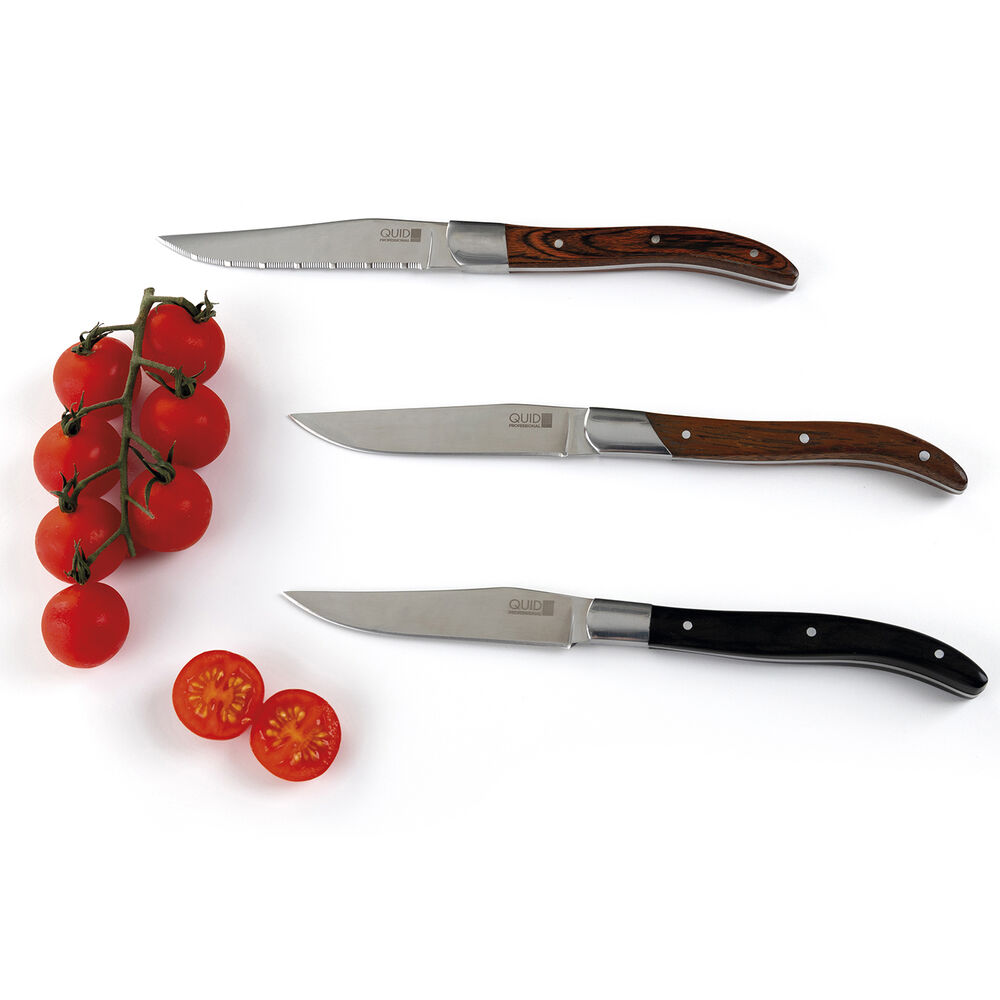 Köttkniv Quid Professional Narbona Metall Dvobarvna (22 cm) (Pack 12x) - 2