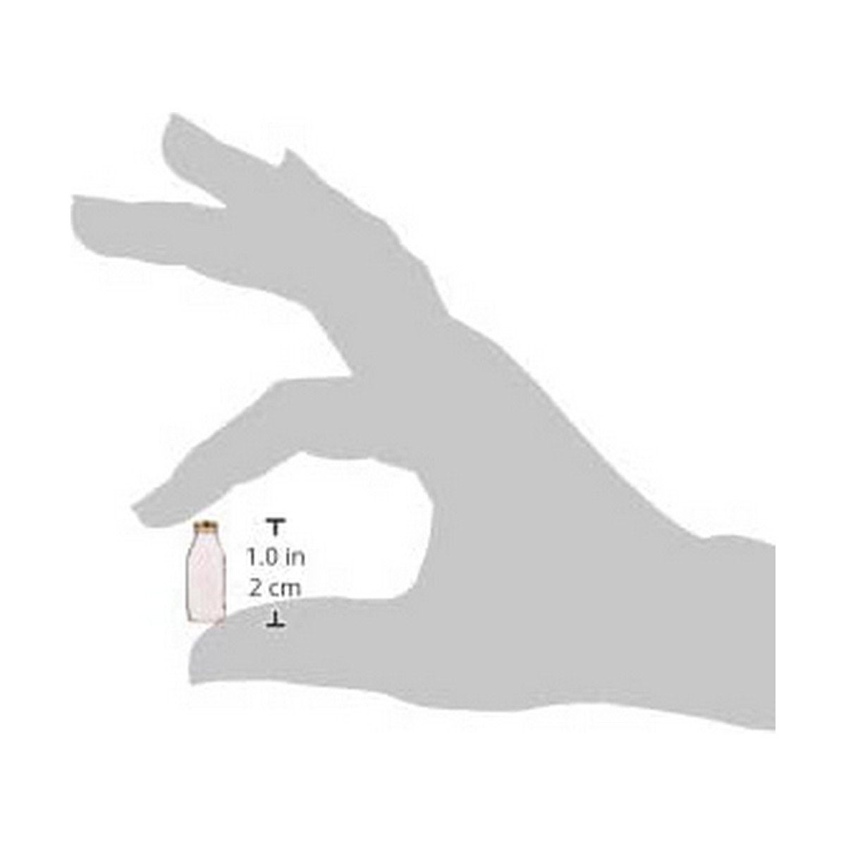 Flaska Bormioli Rocco Quattro Stagioni Transparent Glas 1 L - 2