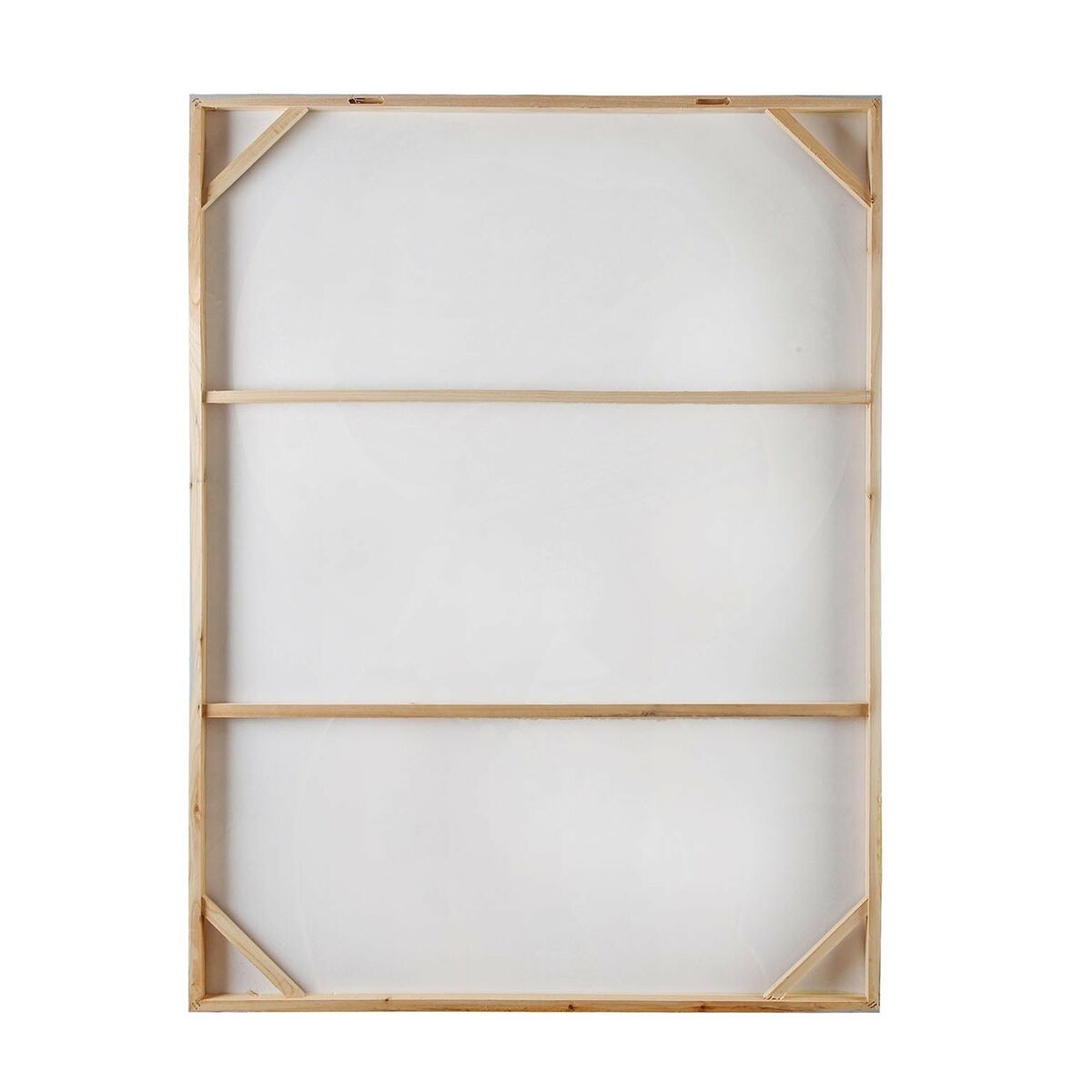 Tavla Versa Rosa Virágok Kanvas Furu 2,8 x 90 x 120 cm - 3