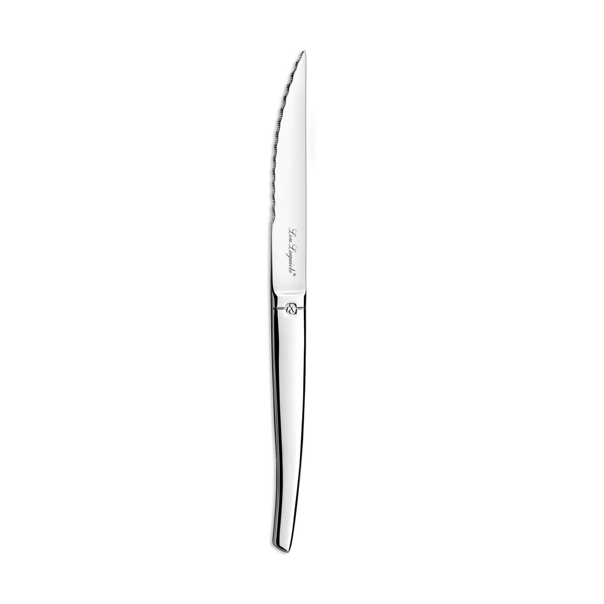 Set med köttknivar Amefa Jet Metall Rostfritt stål 12 antal