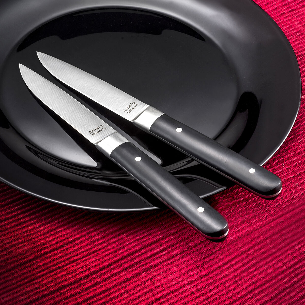 Set med köttknivar Amefa Fusion Dvobarvna Metall 12 antal 22 x 1,8 x 1,2 cm - 2