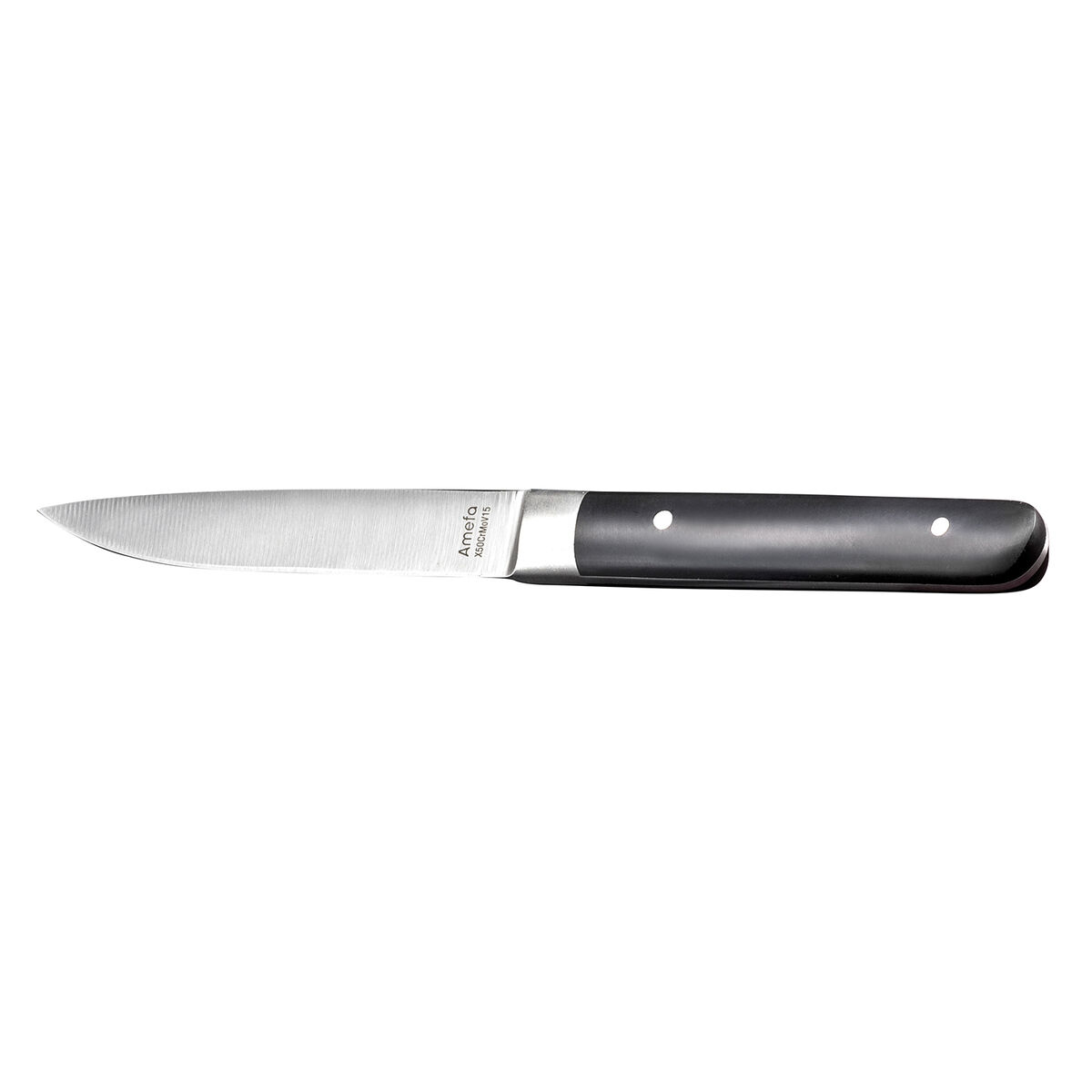Set med köttknivar Amefa Fusion Dvobarvna Metall 12 antal 22 x 1,8 x 1,2 cm
