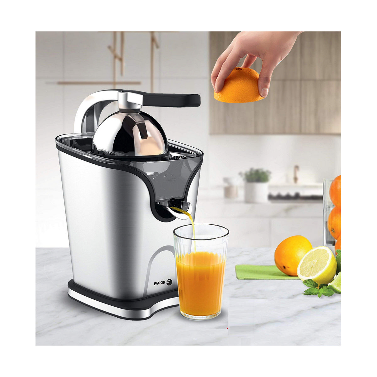 Elektrisk Juicepress FAGOR Rostfritt stål 100W - 2