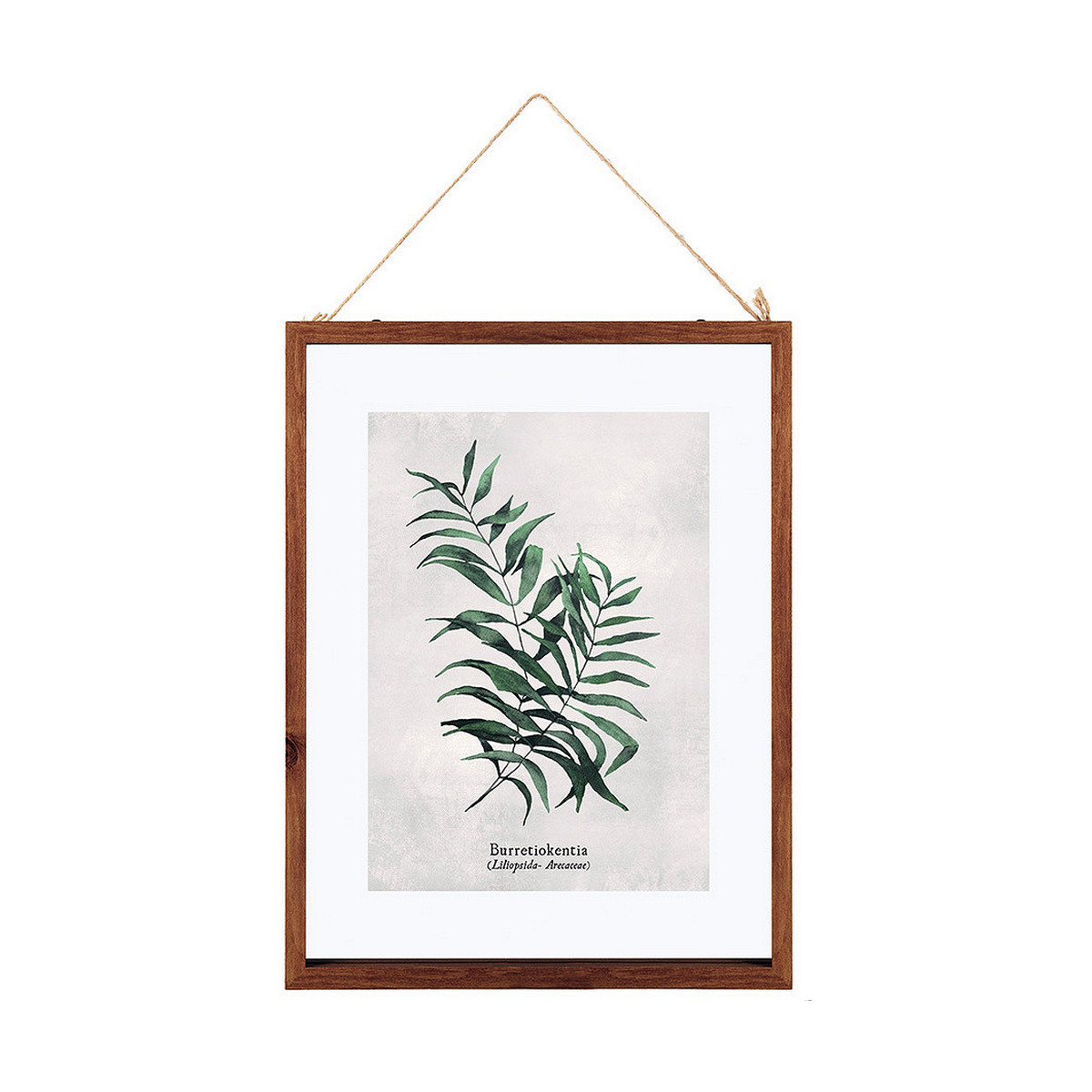 Fotoram Atmosphera 38 X 48 cm Multicolour Trä MDF