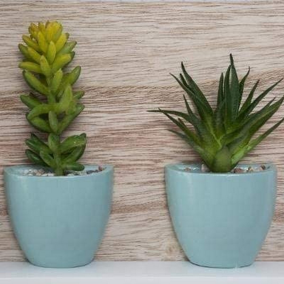 Fotoram för upphängning Atmosphera Cactus 3 fotos (36,5 x 25,7 x 4,5 cm) - 2