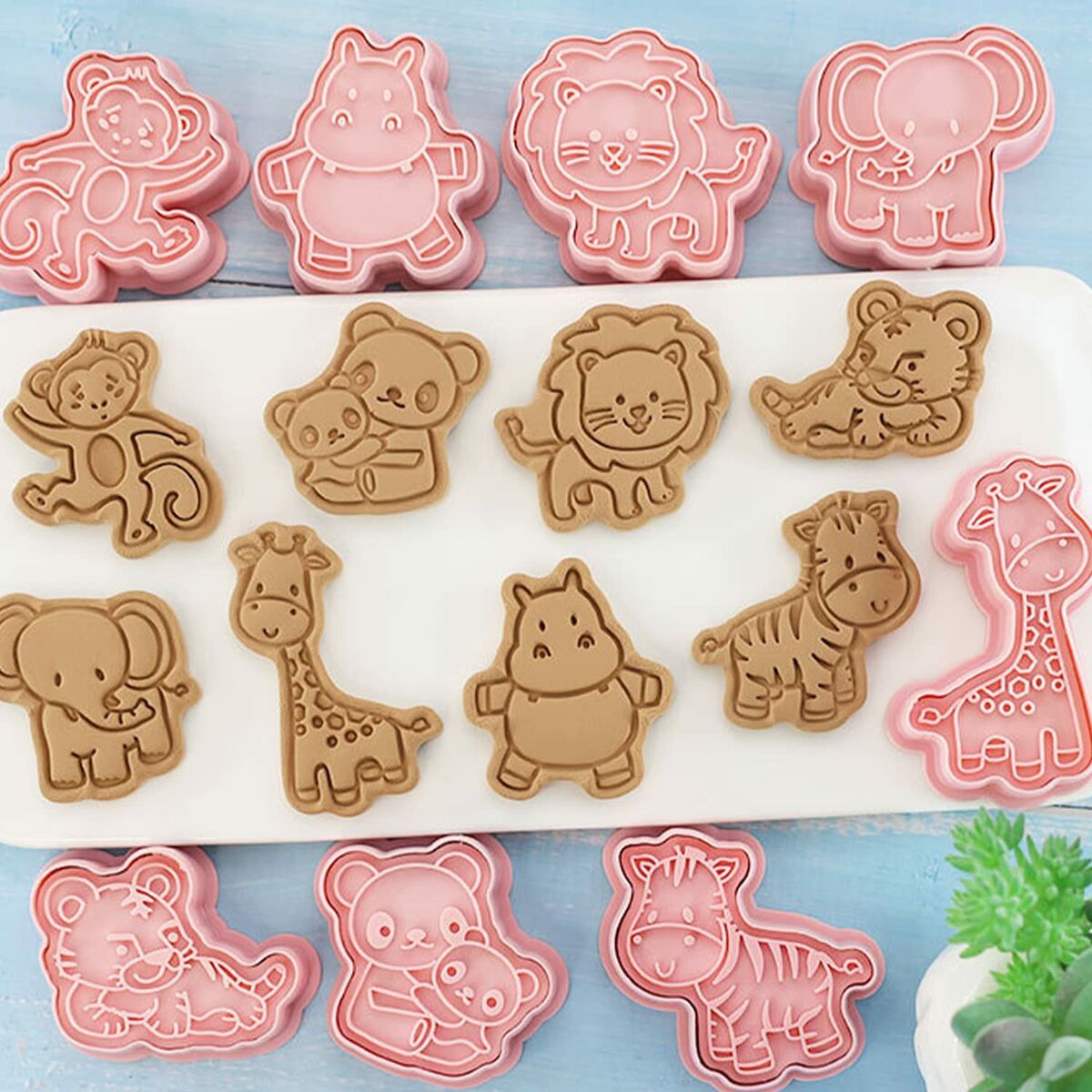 Moldes para Galletas (Renoverade D) - 2