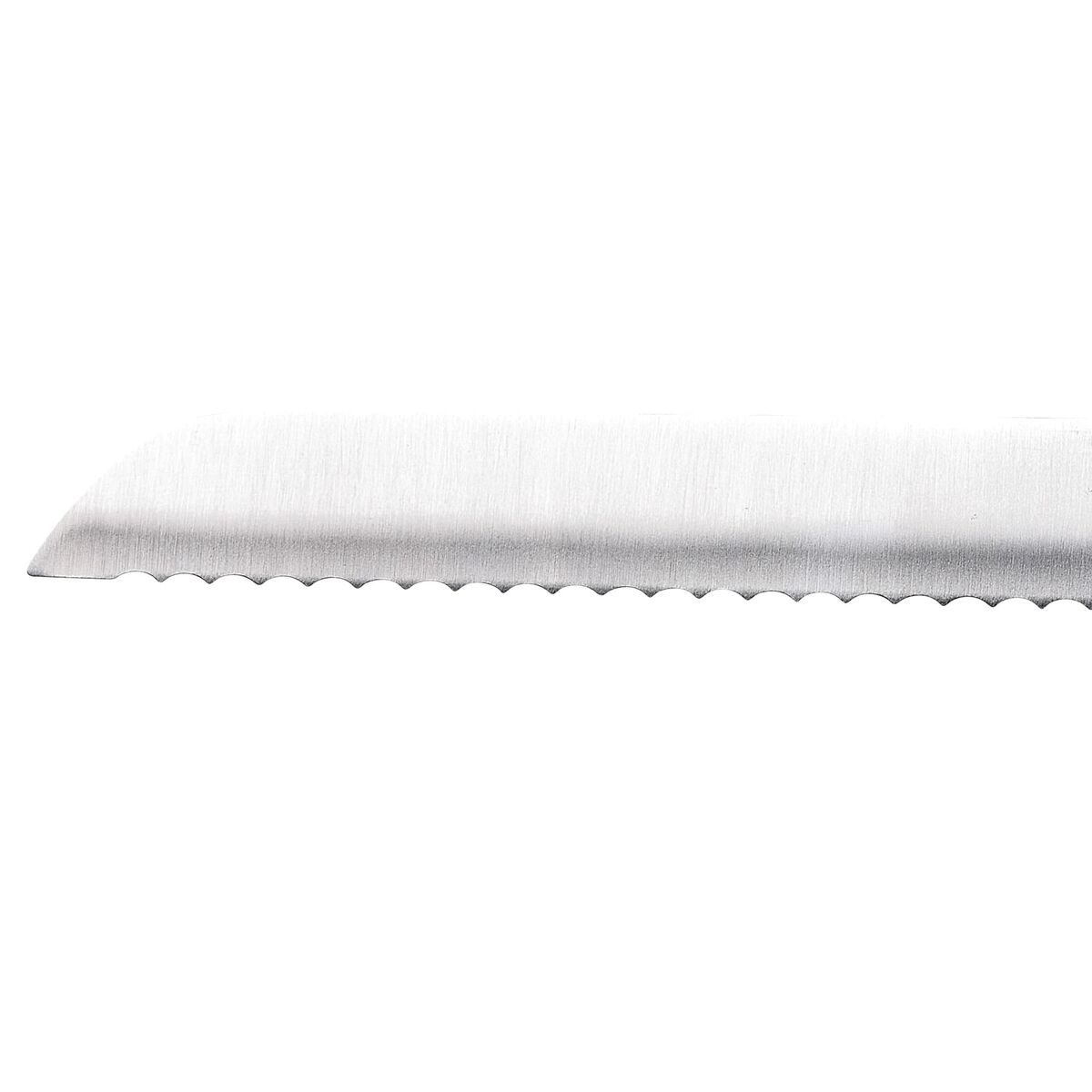 Brödkniv San Ignacio Expert SG41026 Rostfritt stål ABS (20 cm) - 4