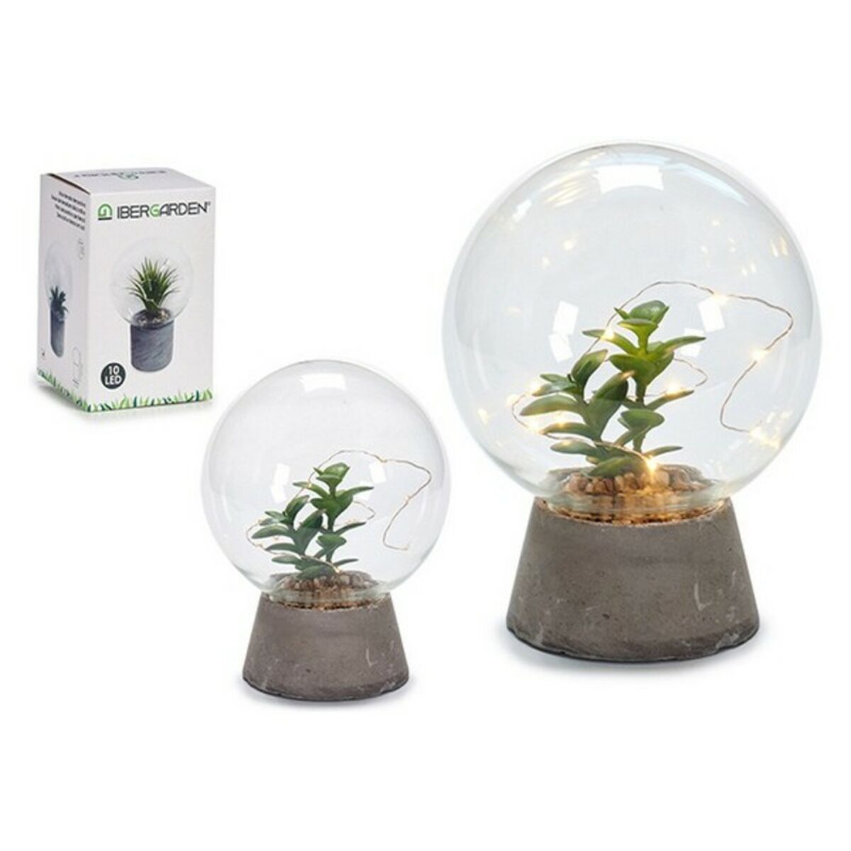 Labda 8430852569820 Plants - 2