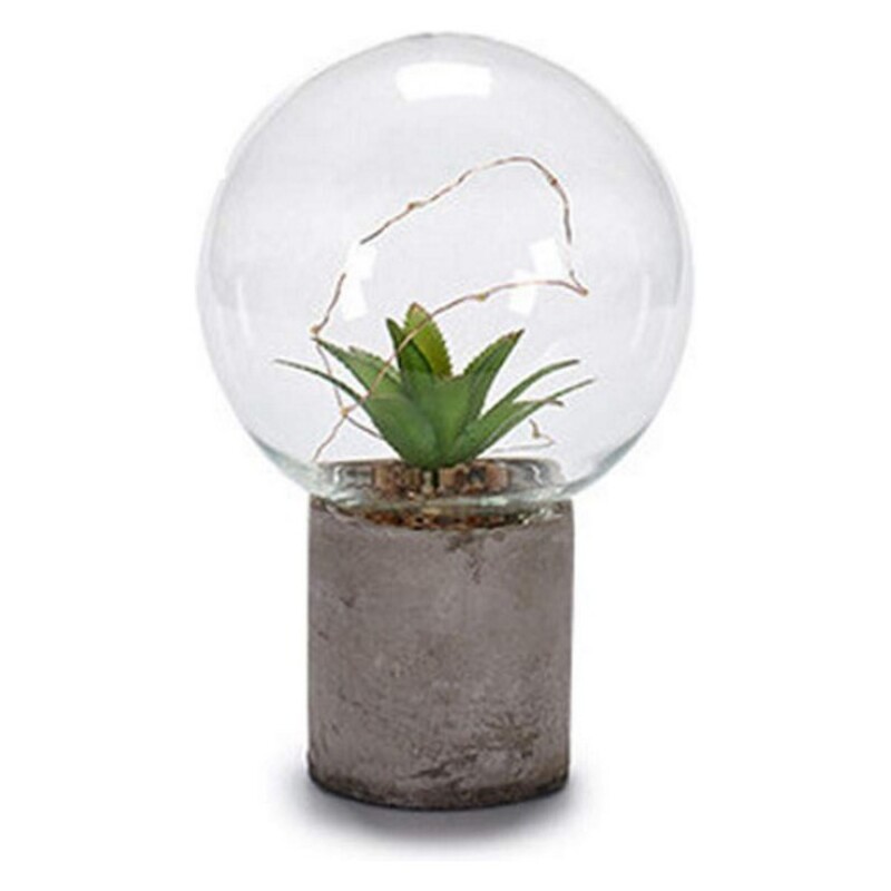 Labda Cactus - 2