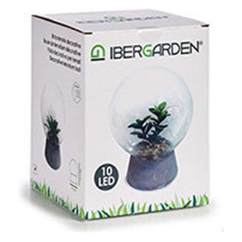 Labda Cactus - 3