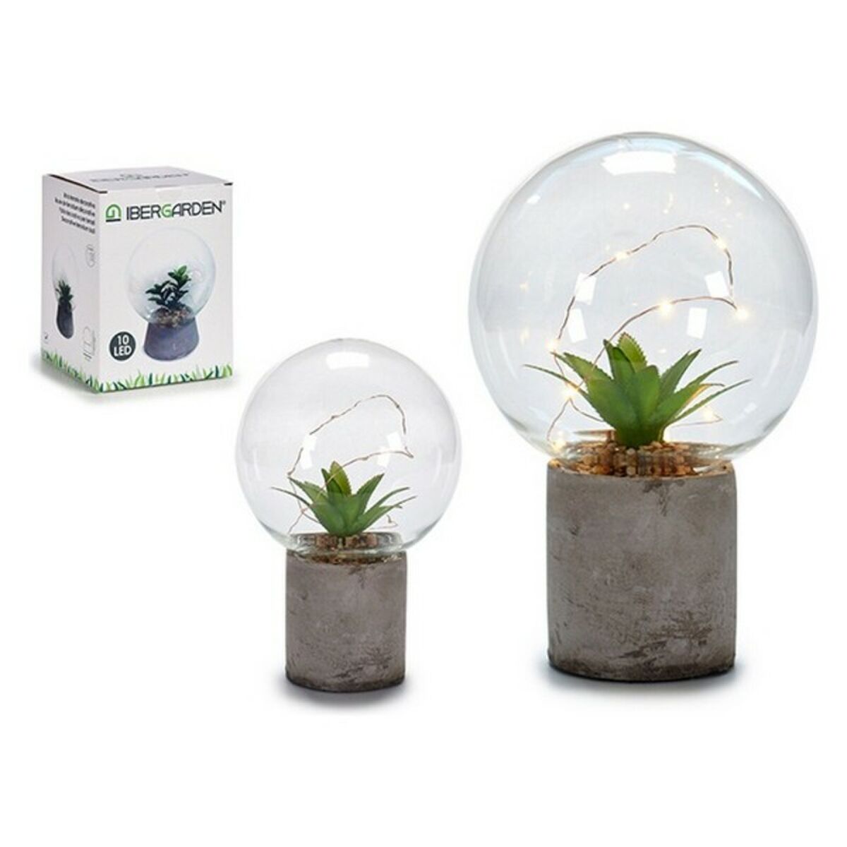 Labda Cactus - 4