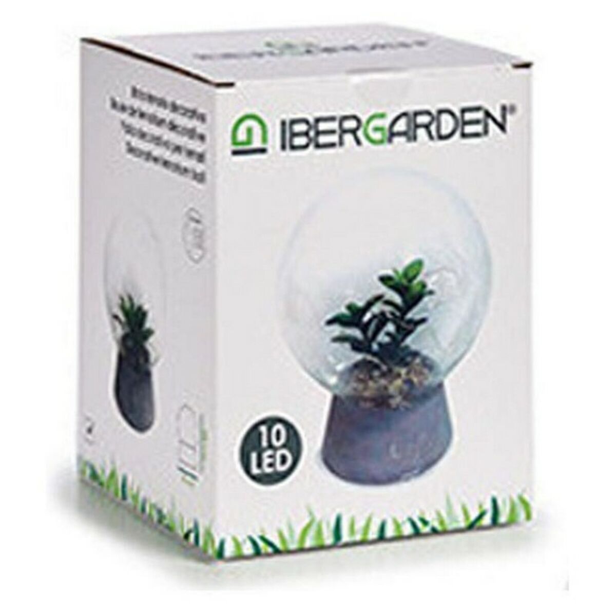 Labda Cactus - 6