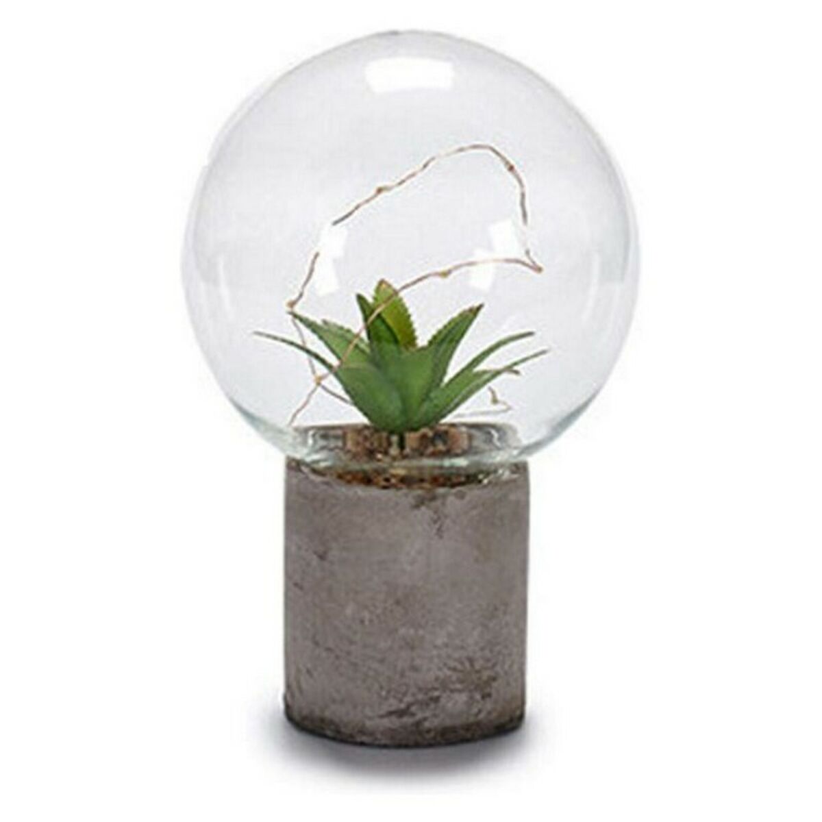 Labda Cactus - 5