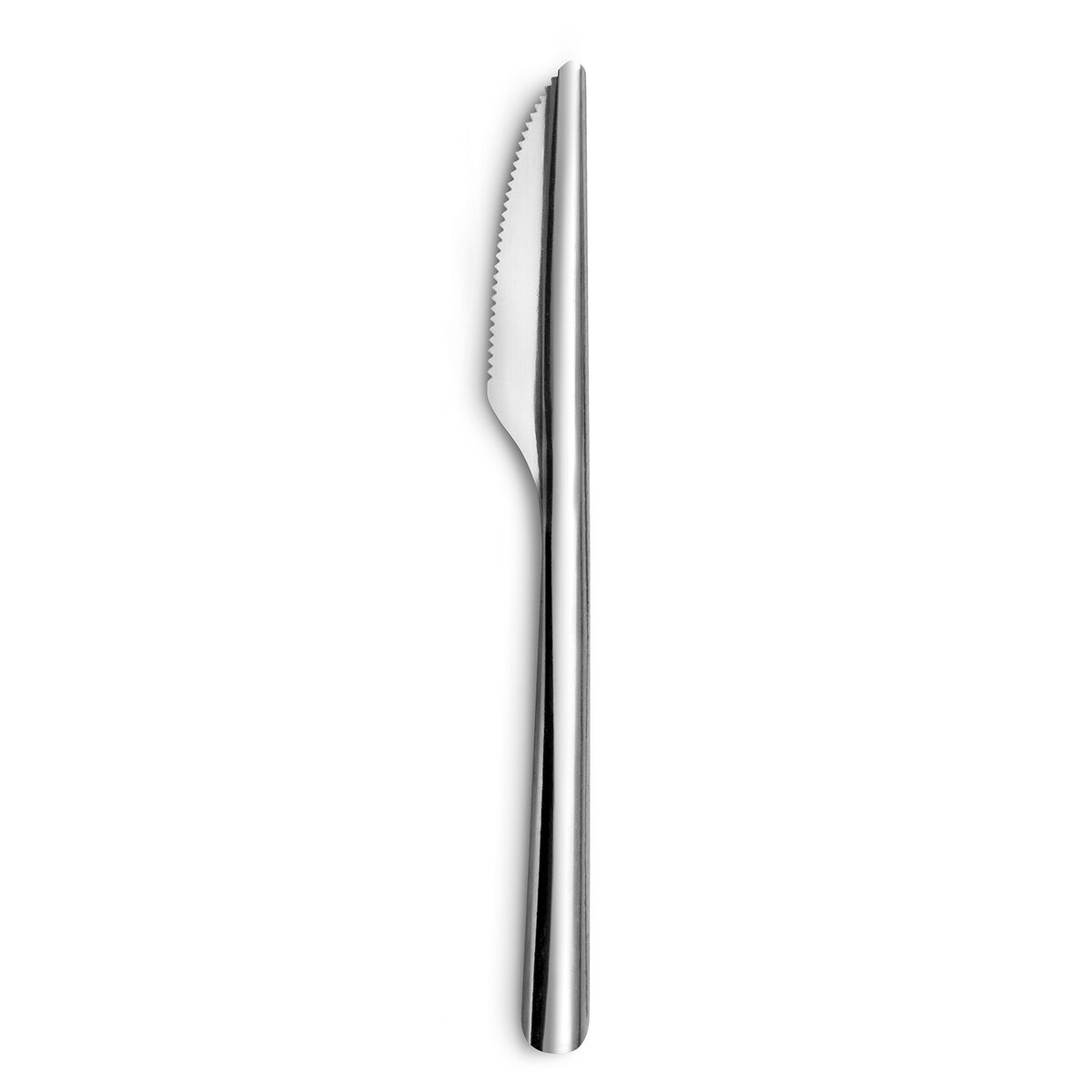 Knivset Amefa Ecologic Slim Metall Stål (12 antal)