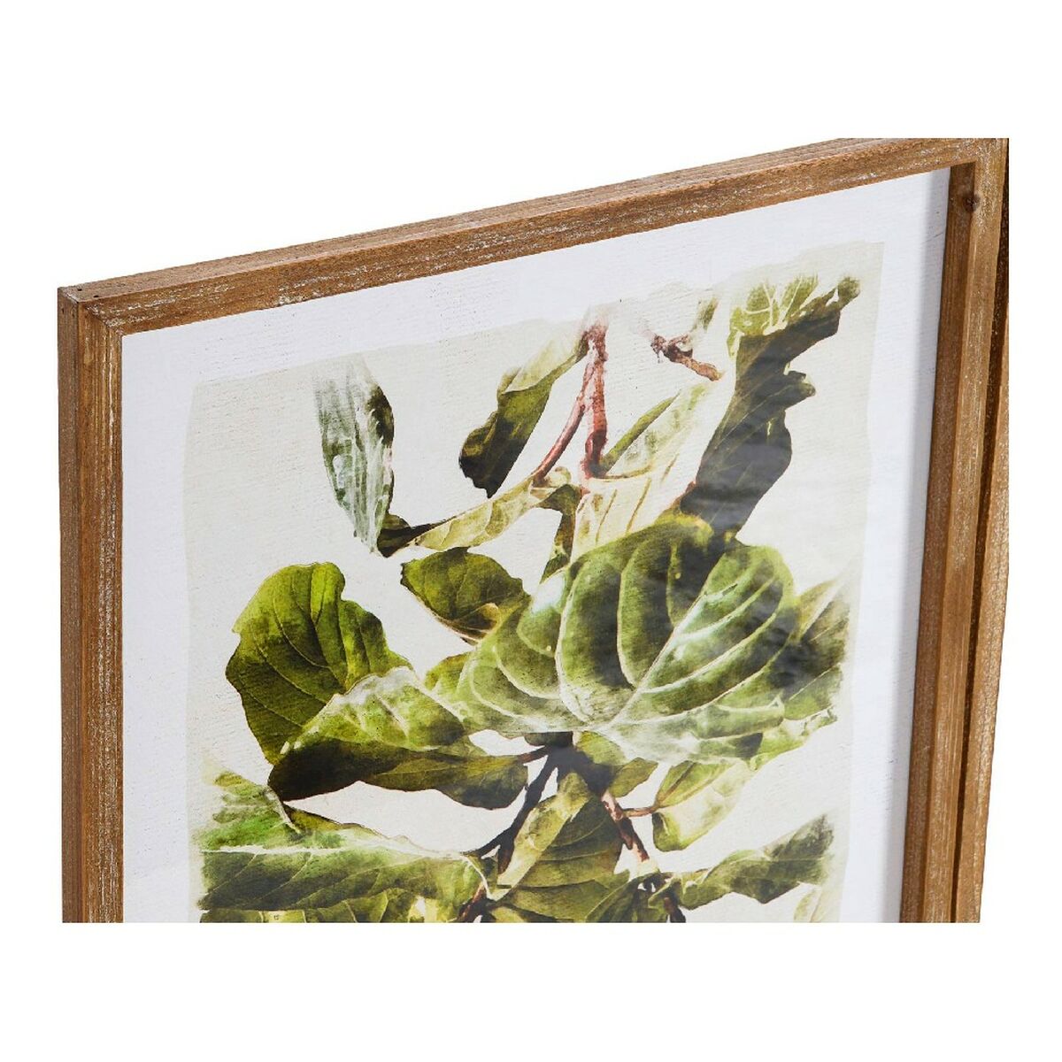 Tavla DKD Home Decor Plants 50 x 2,5 x 70 cm Löv av en växt (2 antal) - 6
