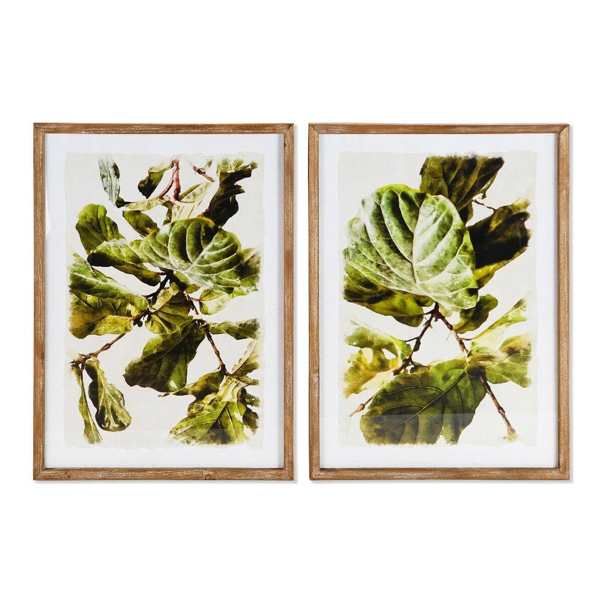 Tavla DKD Home Decor Plants 50 x 2,5 x 70 cm Löv av en växt (2 antal) - 4