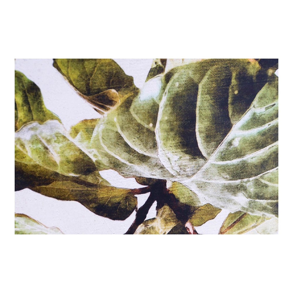 Tavla DKD Home Decor Plants 50 x 2,5 x 70 cm Löv av en växt (2 antal) - 2