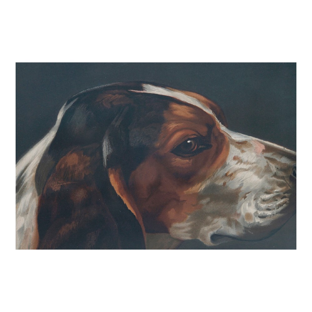 Tavla DKD Home Decor Dog 38 x 3 x 43 cm Hund (2 antal) - 2