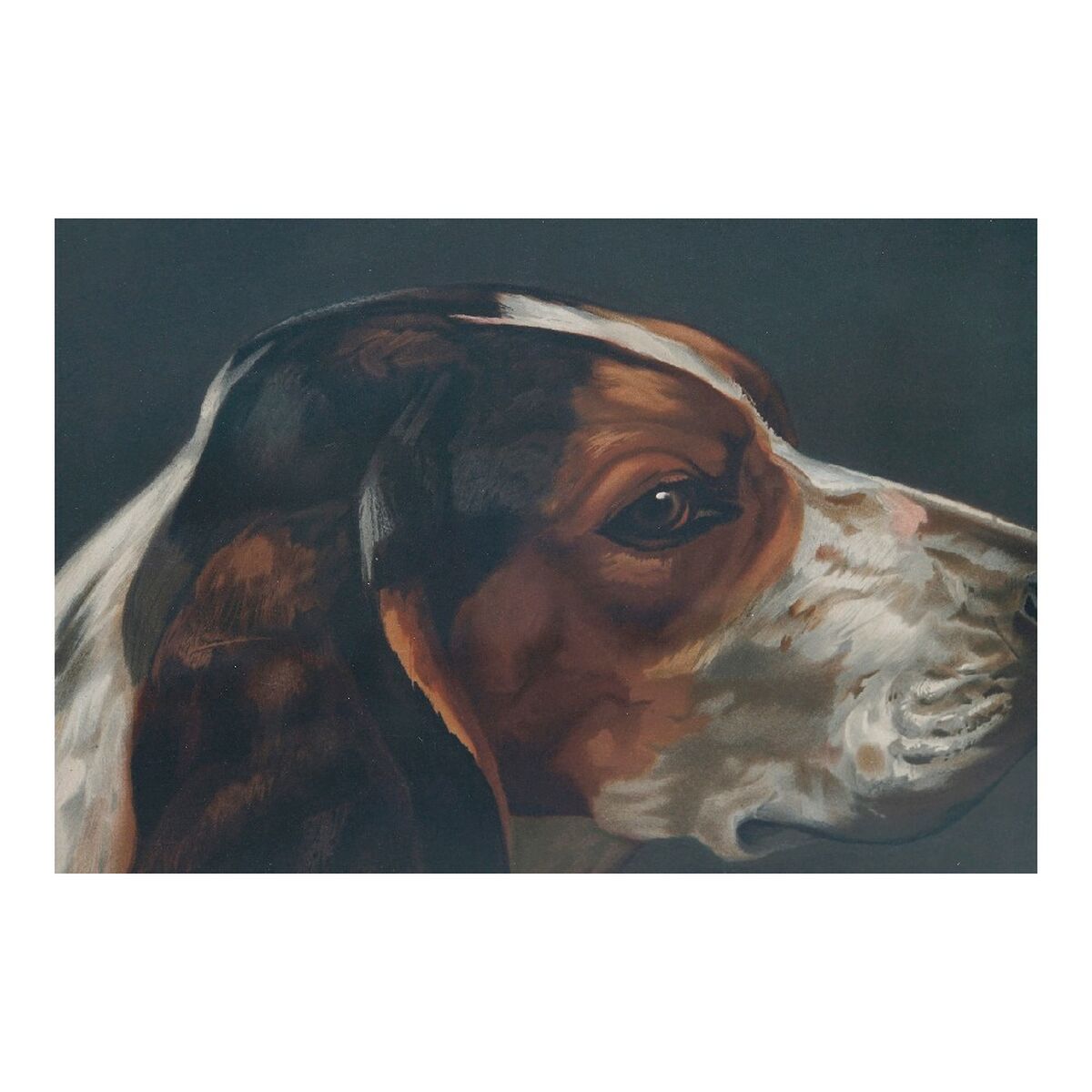 Tavla DKD Home Decor Dog 38 x 3 x 43 cm Hund (2 antal) - 5