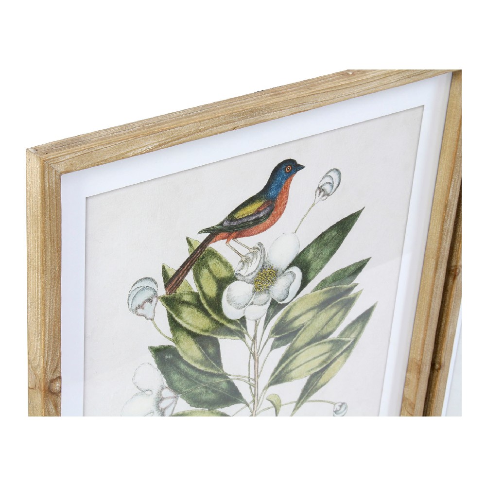 Tavla DKD Home Decor Bird 55 x 2,5 x 70 cm Tropiskt Fåglar (4 Delar) - 3