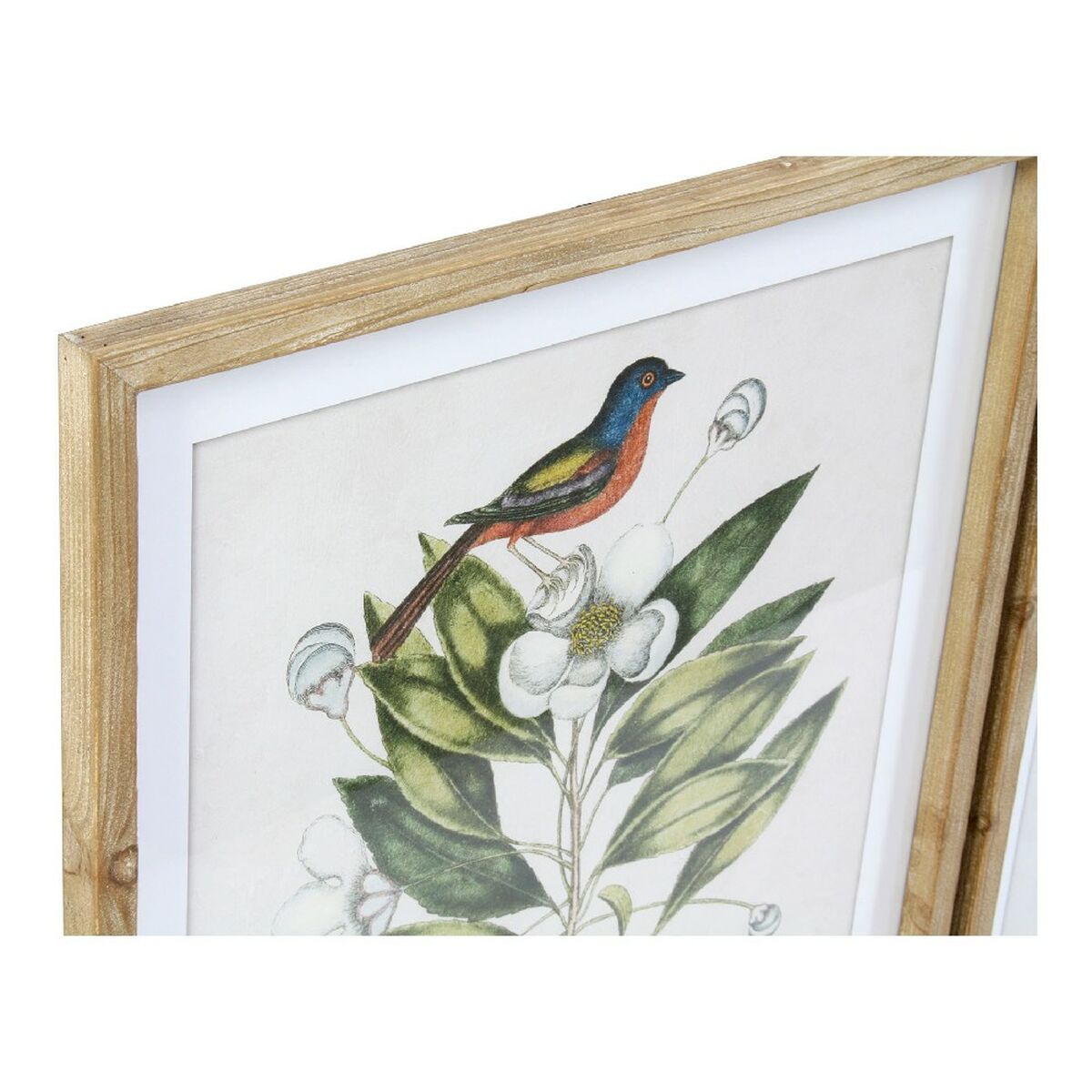 Tavla DKD Home Decor Bird 55 x 2,5 x 70 cm Tropiskt Fåglar (4 Delar) - 6