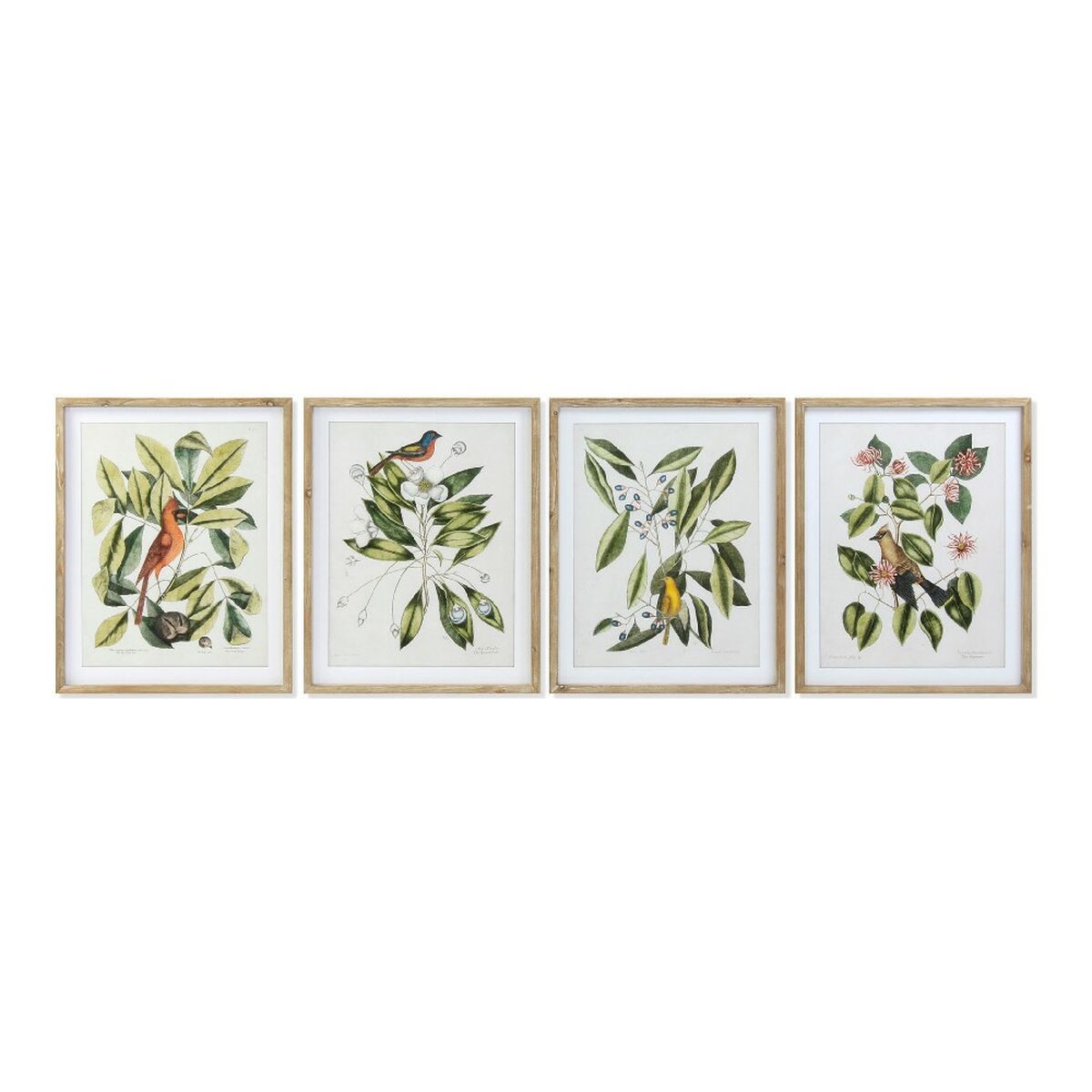 Tavla DKD Home Decor Bird 55 x 2,5 x 70 cm Tropiskt Fåglar (4 Delar) - 4