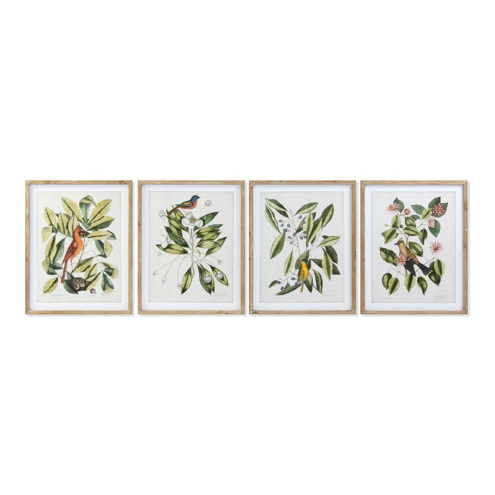 Tavla DKD Home Decor Bird 55 x 2,5 x 70 cm Tropiskt Fåglar (4 Delar)