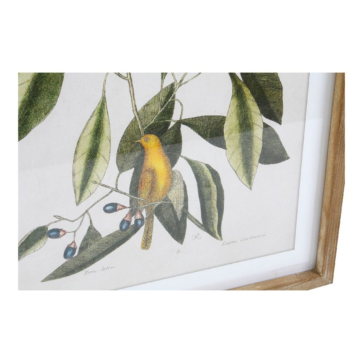 Tavla DKD Home Decor Bird 55 x 2,5 x 70 cm Tropiskt Fåglar (4 Delar) - 5
