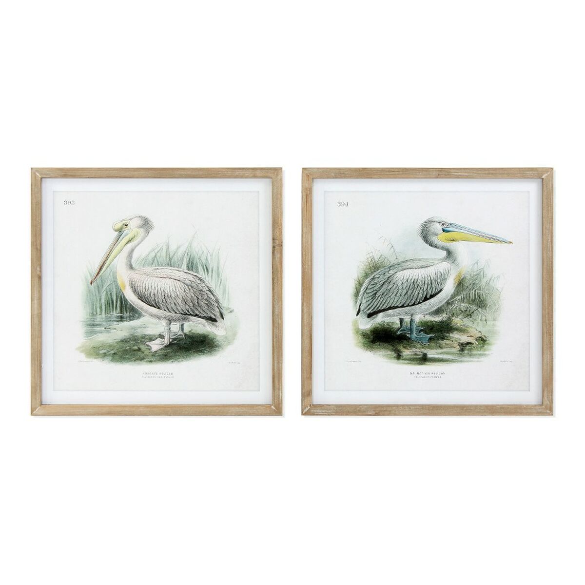 Tavla DKD Home Decor Pelican Fågel 60 x 2 x 60 cm (2 antal) - 6