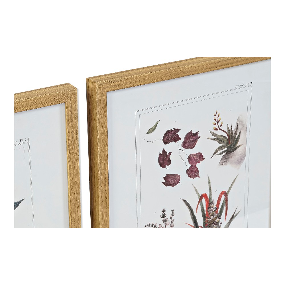 Tavla DKD Home Decor 43 x 3 x 53 cm Botaniska växter (4 Delar) - 3