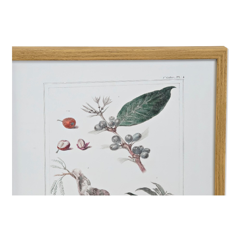 Tavla DKD Home Decor 43 x 3 x 53 cm Botaniska växter (4 Delar) - 2