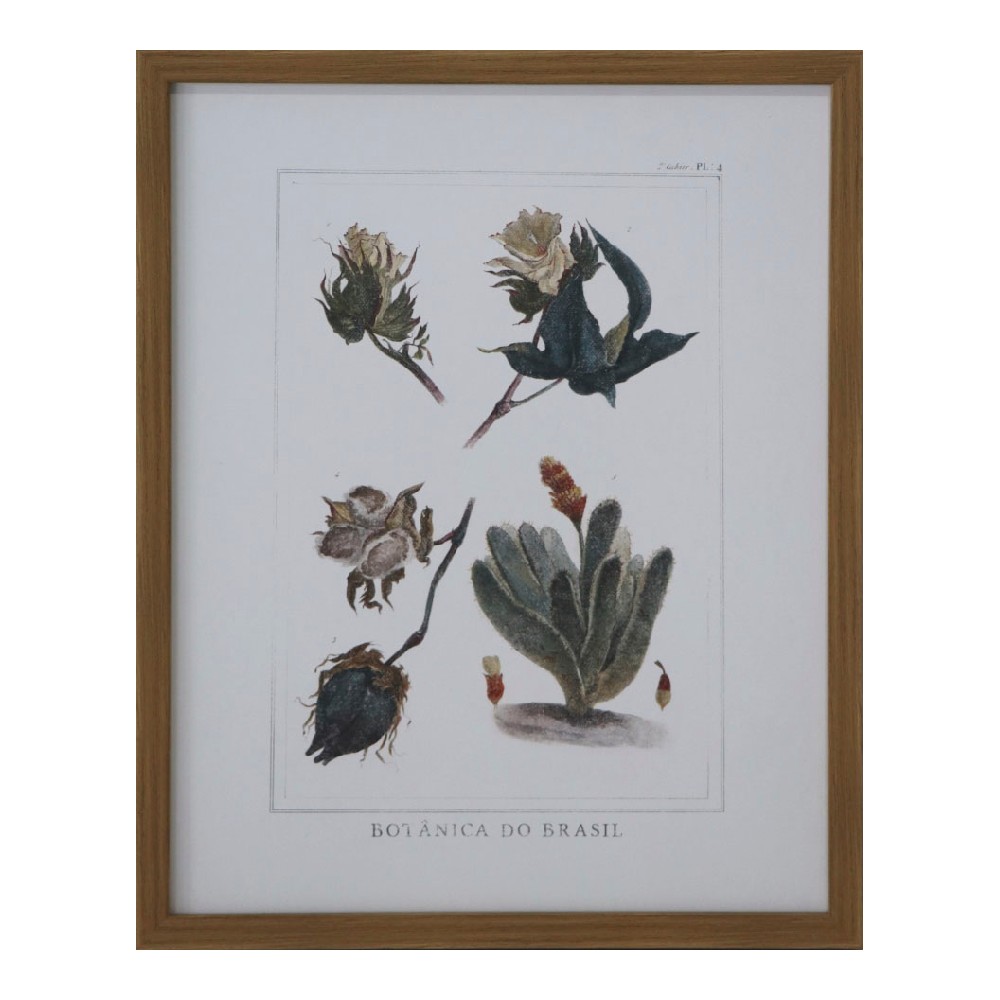 Tavla DKD Home Decor 43 x 3 x 53 cm Botaniska växter (4 Delar) - 4