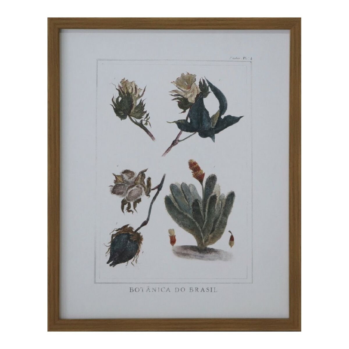 Tavla DKD Home Decor 43 x 3 x 53 cm Botaniska växter (4 Delar) - 6