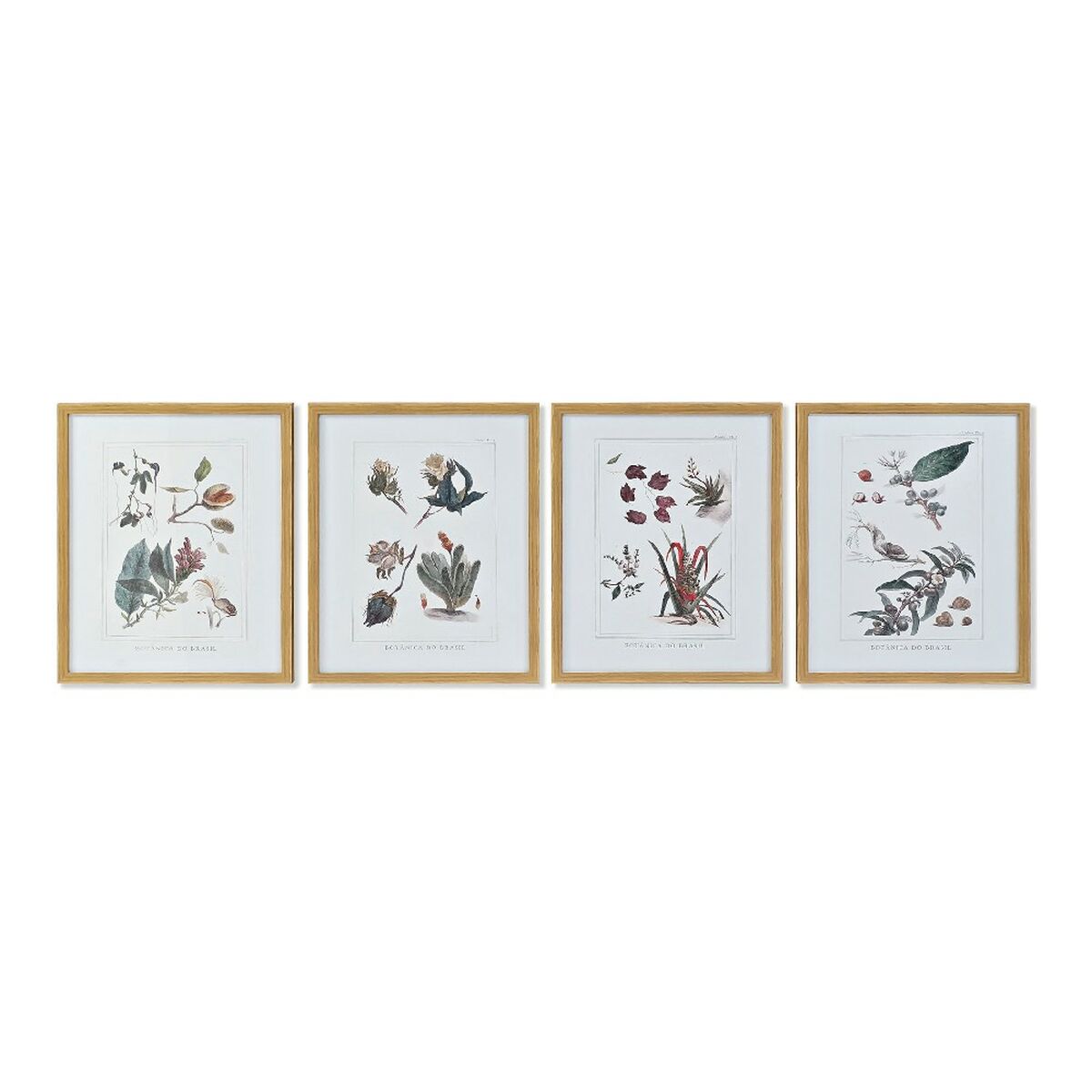 Tavla DKD Home Decor 43 x 3 x 53 cm Botaniska växter (4 Delar) - 5