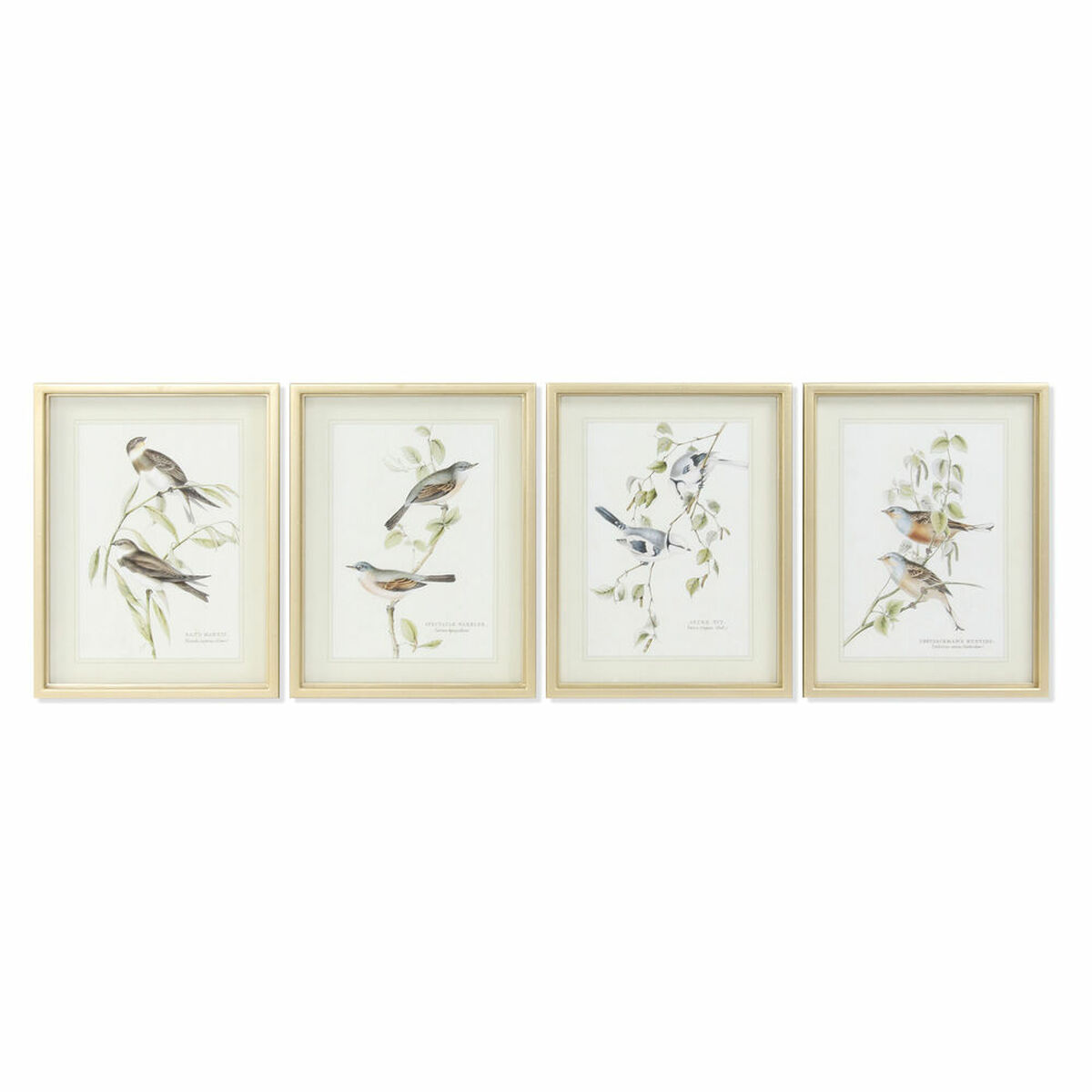 Tavla DKD Home Decor 35 x 2,5 x 45 cm Traditionell Fåglar (4 Delar) - 5