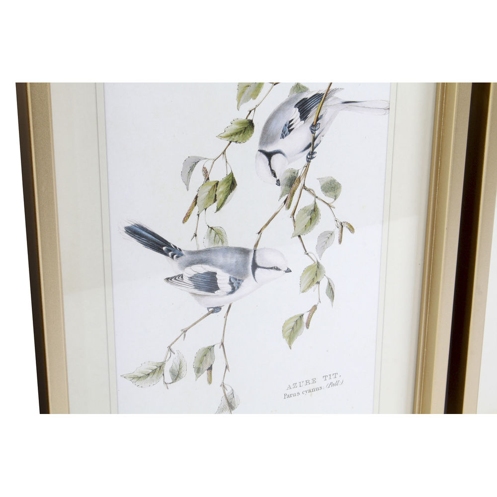Tavla DKD Home Decor 35 x 2,5 x 45 cm Traditionell Fåglar (4 Delar) - 3