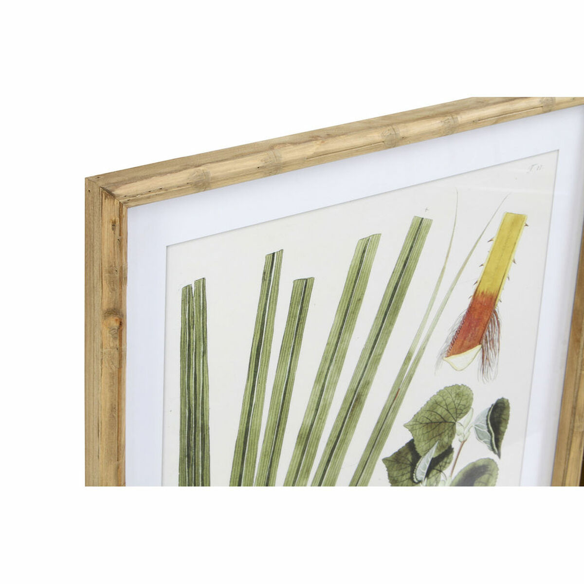 Tavla DKD Home Decor 50 x 2,8 x 70 cm Modern Botaniska växter (6 Delar) - 7