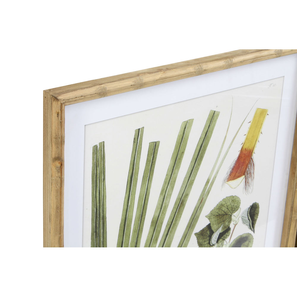 Tavla DKD Home Decor 50 x 2,8 x 70 cm Modern Botaniska växter (6 Delar) - 4