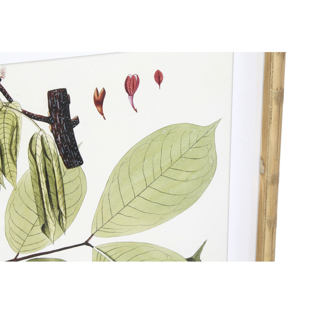 Tavla DKD Home Decor 50 x 2,8 x 70 cm Modern Botaniska växter (6 Delar) - 3