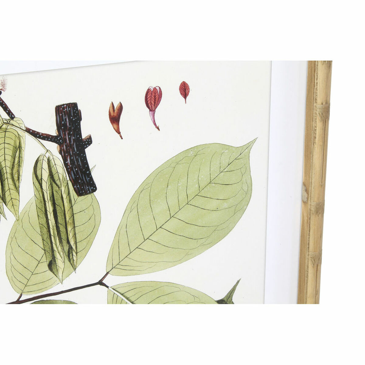 Tavla DKD Home Decor 50 x 2,8 x 70 cm Modern Botaniska växter (6 Delar) - 6