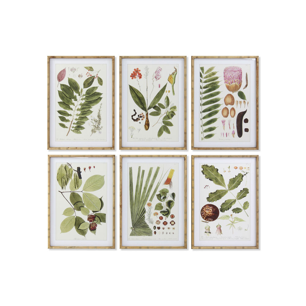Tavla DKD Home Decor 50 x 2,8 x 70 cm Modern Botaniska växter (6 Delar) - 2