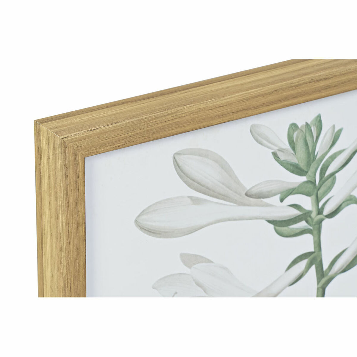Tavla DKD Home Decor 43 x 3 x 53 cm Botaniska växter (2 antal) - 4