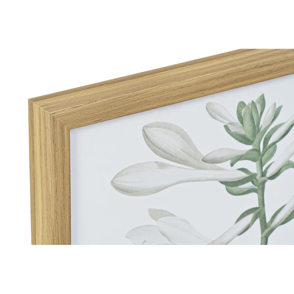 Tavla DKD Home Decor 43 x 3 x 53 cm Botaniska växter (2 antal) - 2