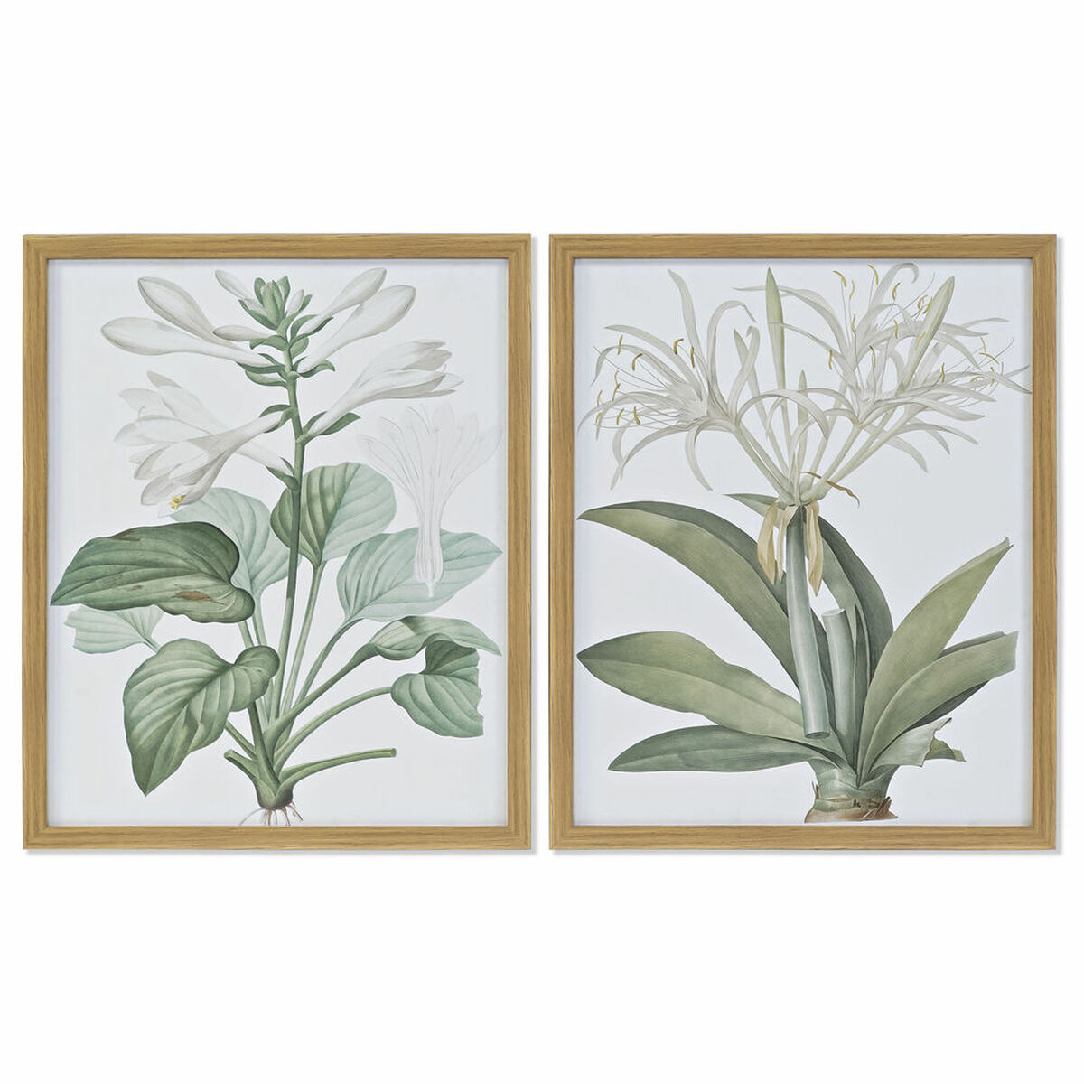 Tavla DKD Home Decor 43 x 3 x 53 cm Botaniska växter (2 antal) - 3