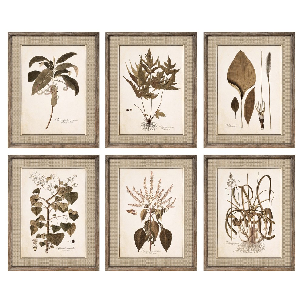 Tavla DKD Home Decor 55 x 2,5 x 70 cm Modern Botaniska växter (6 Delar) - 2
