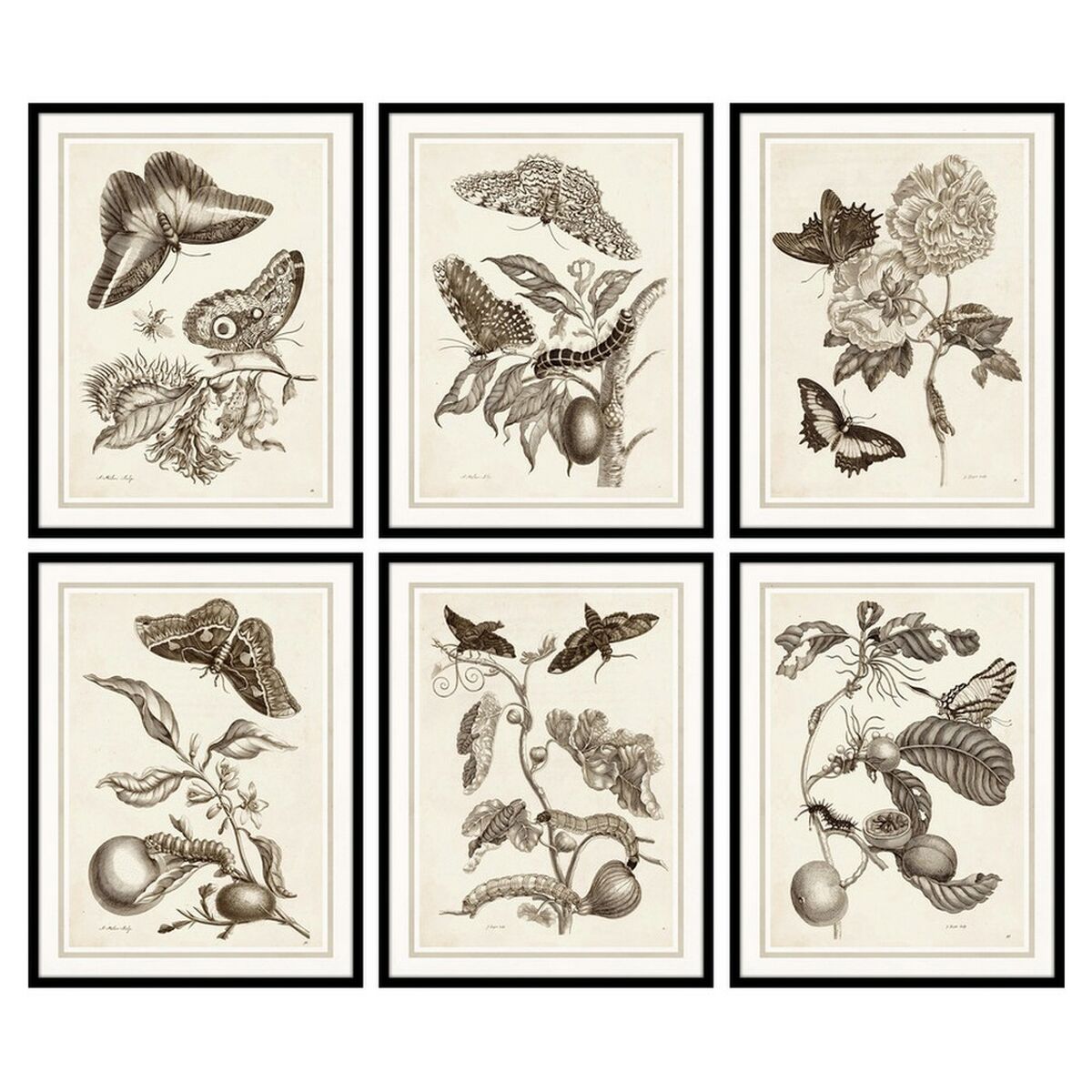 Tavla DKD Home Decor 50 x 2,5 x 65 cm Virágok Modern (6 Delar) - 3