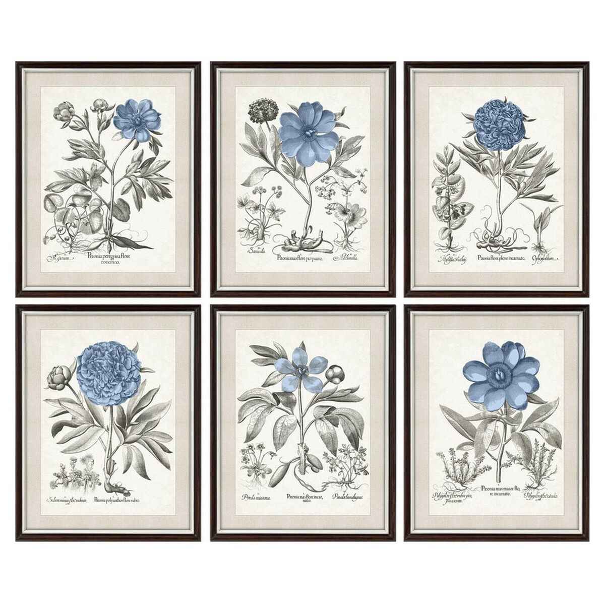 Tavla DKD Home Decor Virágok Modern 50 x 2 x 65 cm (6 Delar) - 3