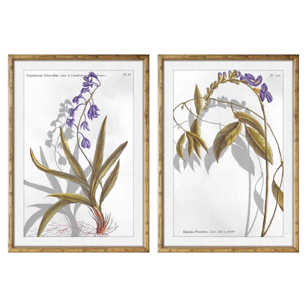 Tavla DKD Home Decor 50 x 2 x 70 cm Modern Botaniska växter (2 antal) - 2