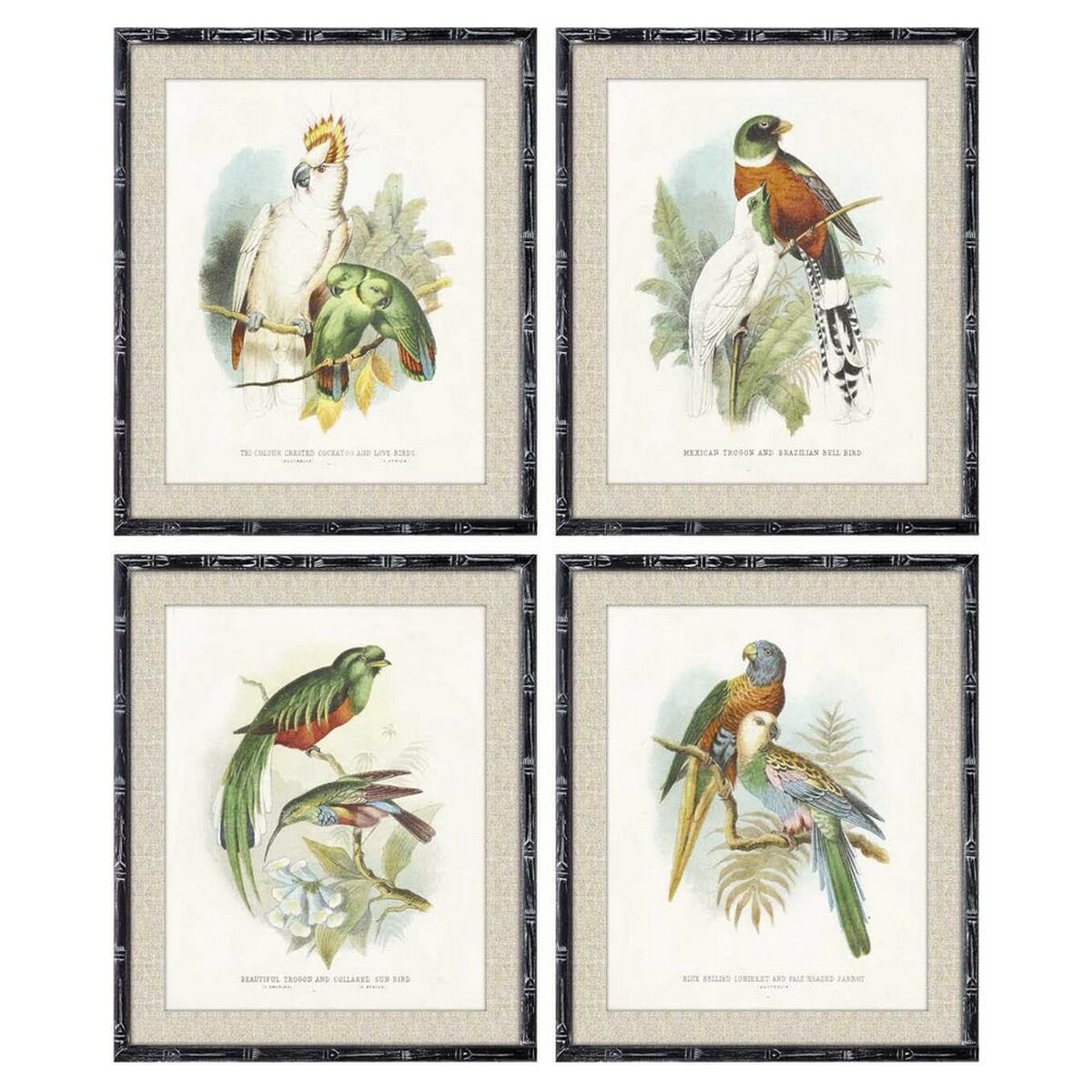 Tavla DKD Home Decor 50 x 2 x 60 cm Fåglar Modern (4 Delar) - 3