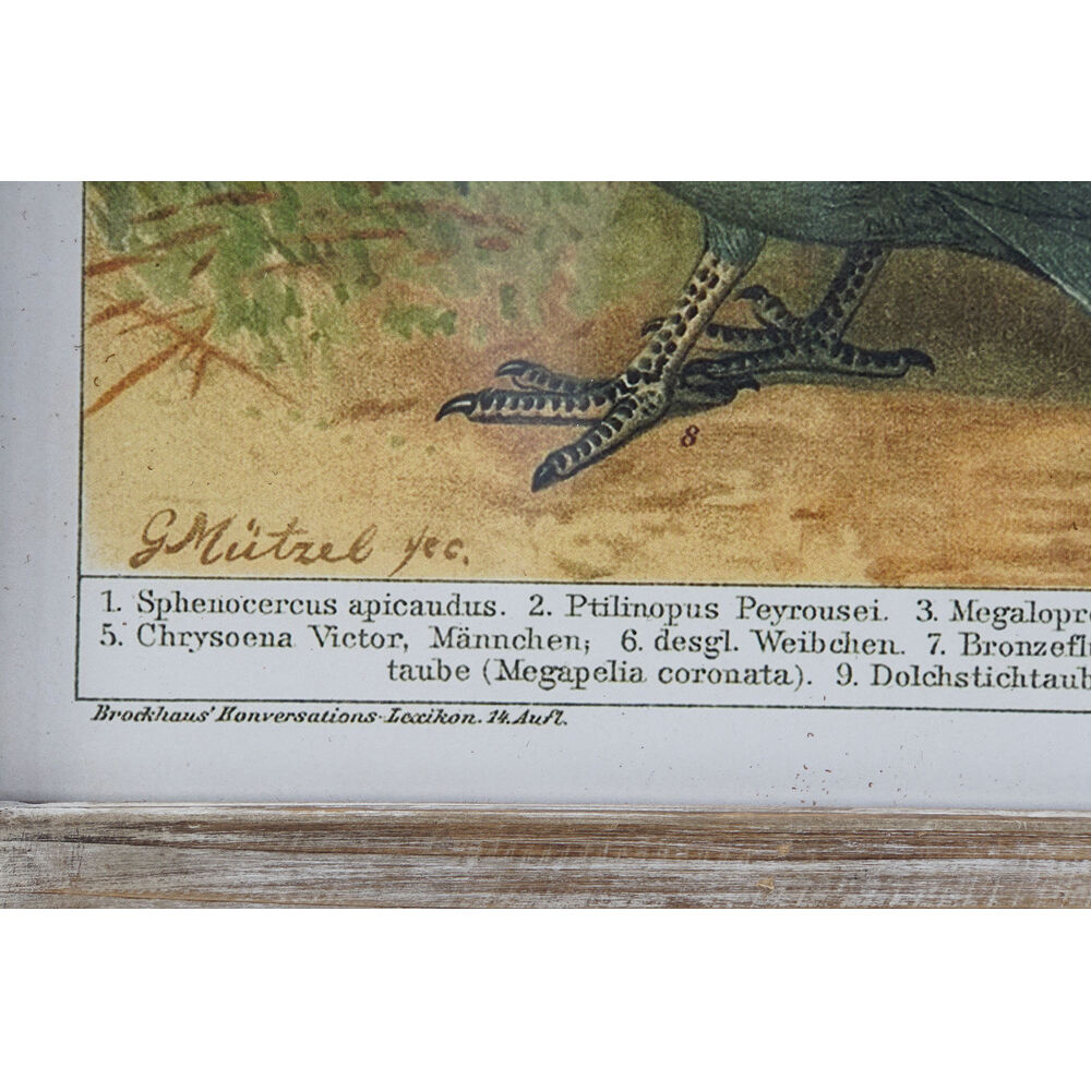 Tavla DKD Home Decor 45 x 2 x 65 cm Fåglar Cottage (4 Delar) - 3